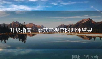 升级指南：蘑菇影视官网测评结果