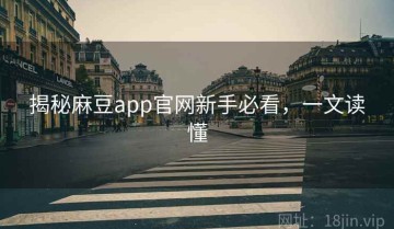 揭秘麻豆app官网新手必看，一文读懂