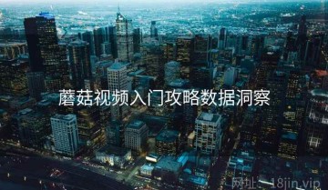 蘑菇视频入门攻略数据洞察