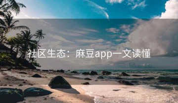 社区生态：麻豆app一文读懂