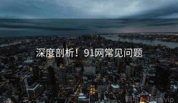 深度剖析！91网常见问题