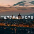 麻豆内幕揭秘：高能预警