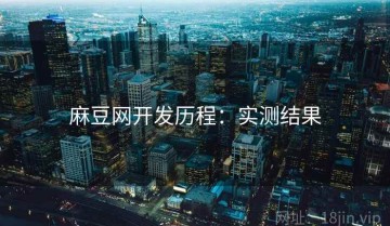 麻豆网开发历程：实测结果