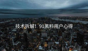 技术拆解！91黑料用户心得