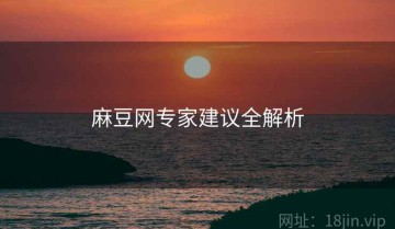 麻豆网专家建议全解析