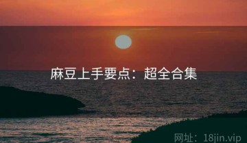 麻豆上手要点：超全合集