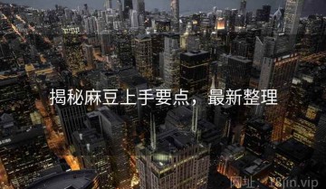 揭秘麻豆上手要点，最新整理