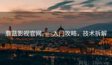 蘑菇影视官网——入门攻略，技术拆解