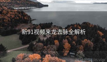 新91视频来龙去脉全解析