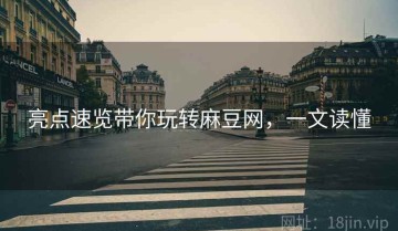 亮点速览带你玩转麻豆网，一文读懂