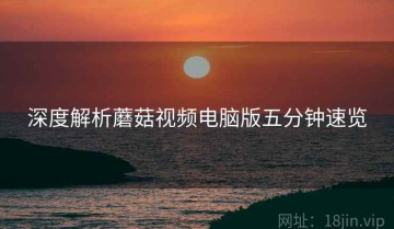 深度解析蘑菇视频电脑版五分钟速览