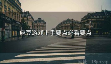 麻豆游戏上手要点必看要点