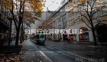 91网行业洞察权威解读