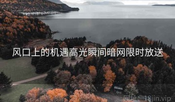 风口上的机遇高光瞬间暗网限时放送
