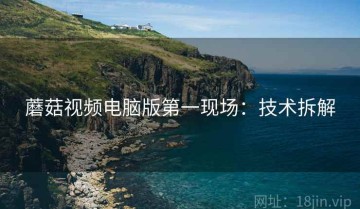 蘑菇视频电脑版第一现场：技术拆解