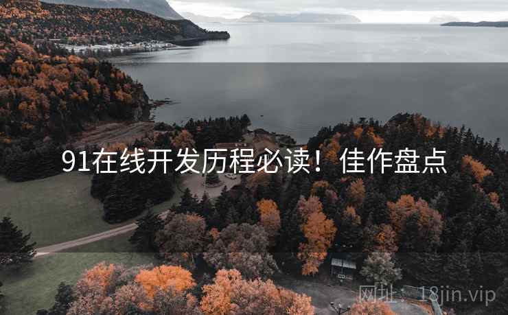 91在线开发历程必读！佳作盘点