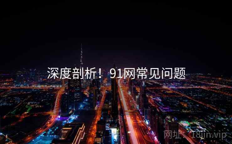 深度剖析！91网常见问题