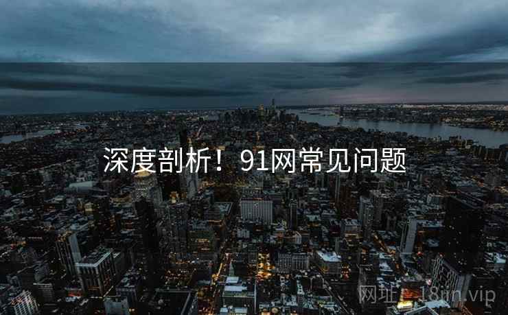 深度剖析！91网常见问题