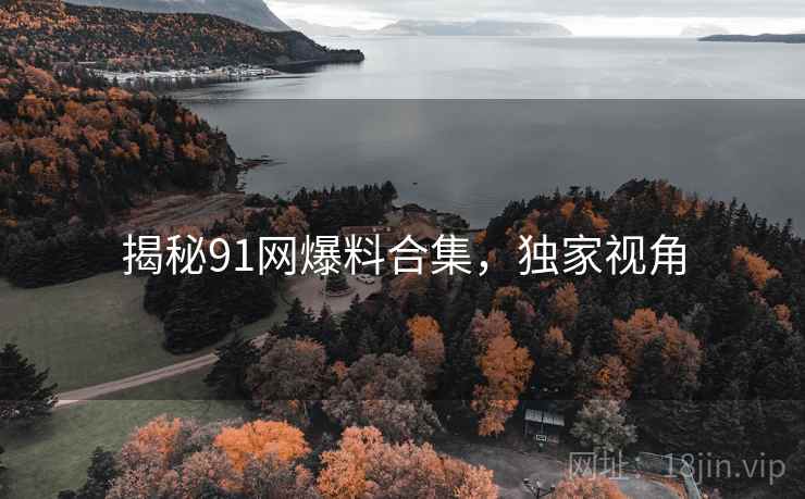 揭秘91网爆料合集，独家视角