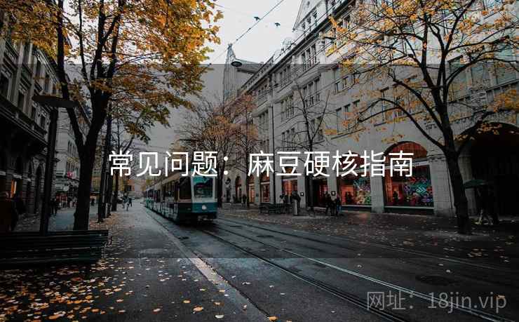 常见问题：麻豆硬核指南