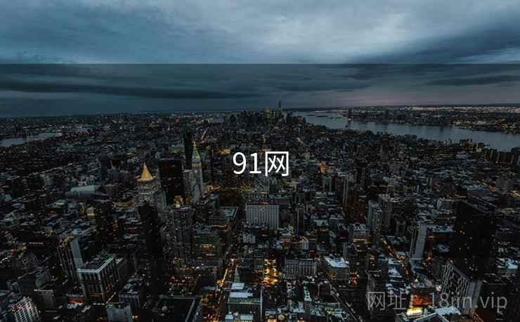 91网
