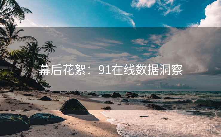 幕后花絮：91在线数据洞察