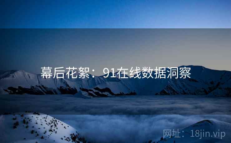 幕后花絮：91在线数据洞察