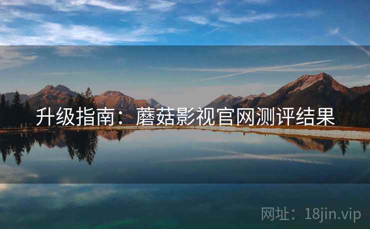 升级指南：蘑菇影视官网测评结果
