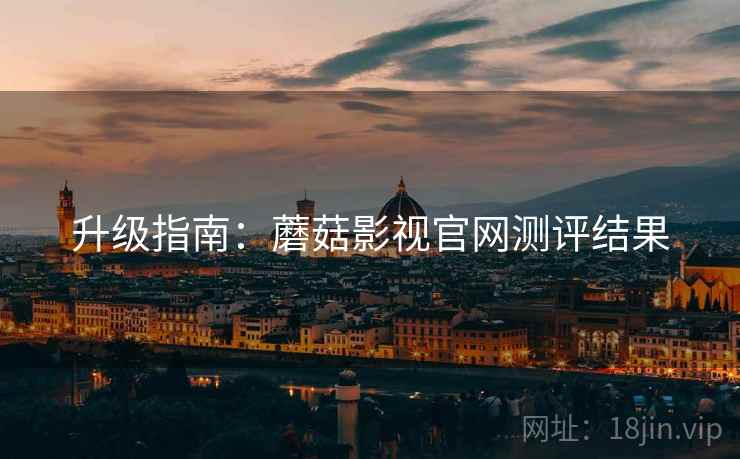升级指南：蘑菇影视官网测评结果