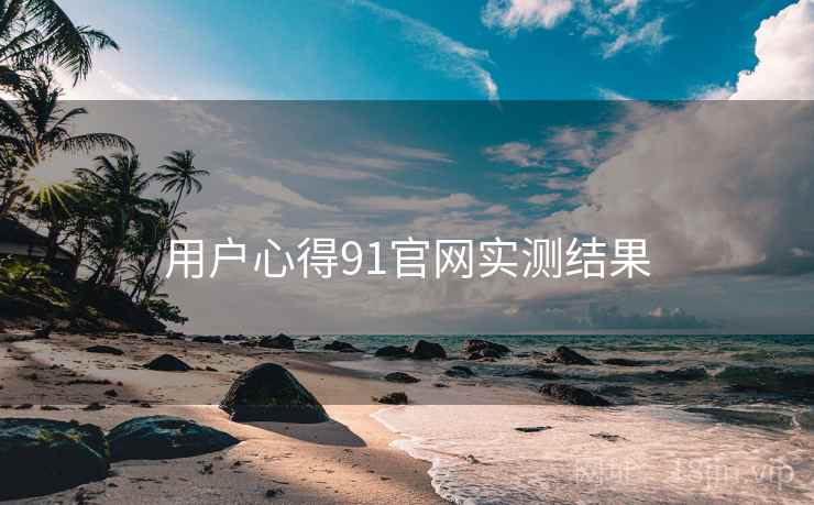 用户心得91官网实测结果