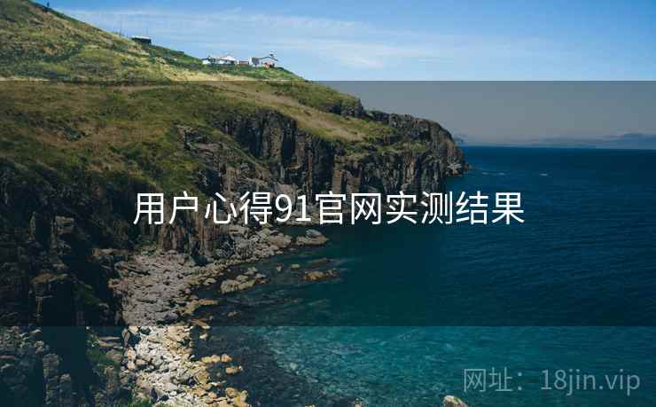用户心得91官网实测结果