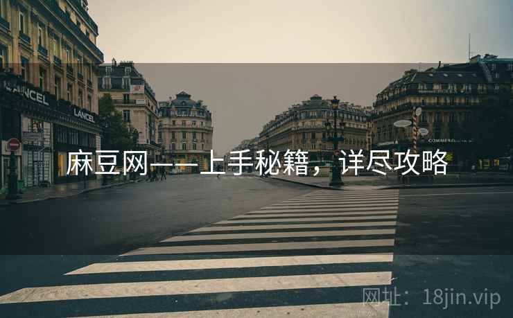 麻豆网——上手秘籍，详尽攻略