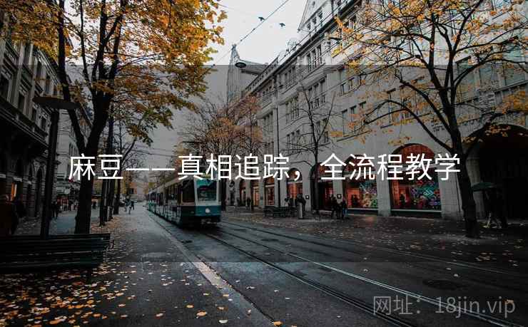 麻豆——真相追踪，全流程教学