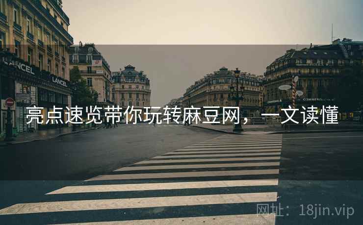 亮点速览带你玩转麻豆网，一文读懂