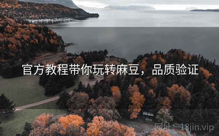 官方教程带你玩转麻豆，品质验证