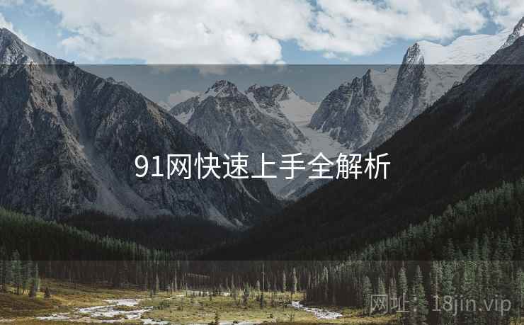 91网快速上手全解析