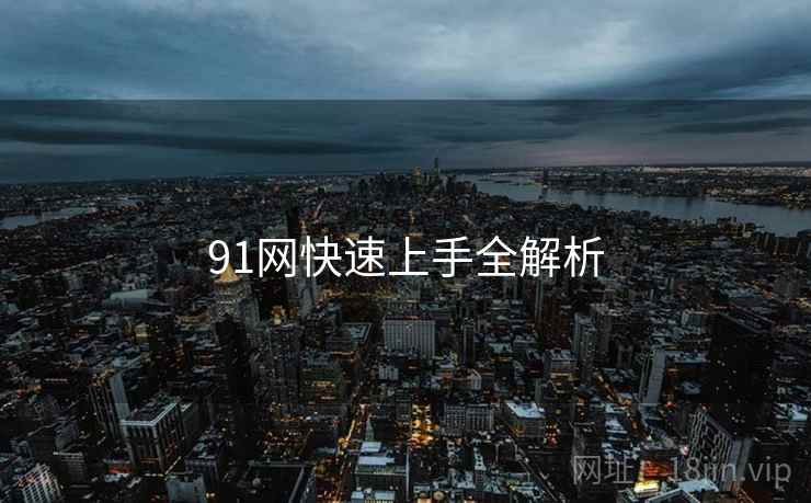 91网快速上手全解析