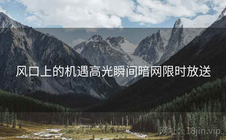 风口上的机遇高光瞬间暗网限时放送