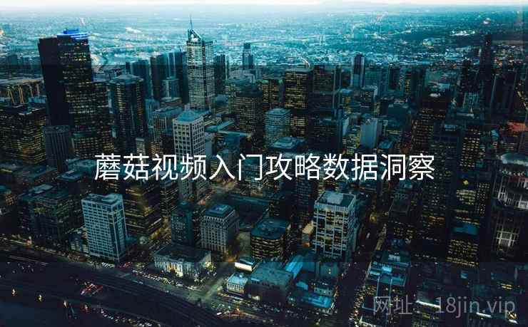 蘑菇视频入门攻略数据洞察