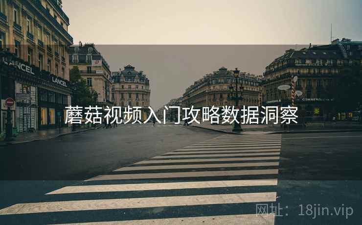 蘑菇视频入门攻略数据洞察