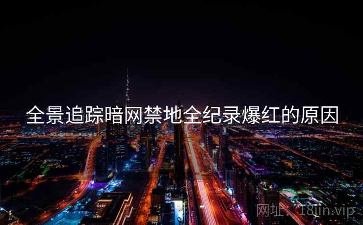 全景追踪暗网禁地全纪录爆红的原因