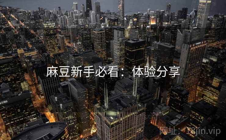 麻豆新手必看：体验分享