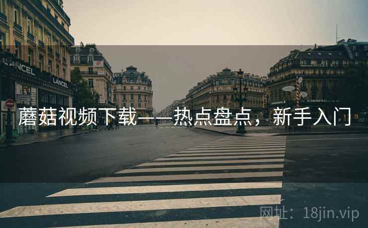 蘑菇视频下载——热点盘点，新手入门