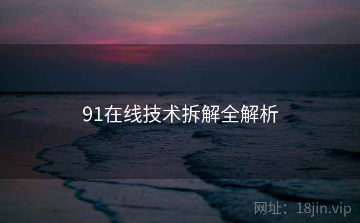 91在线技术拆解全解析