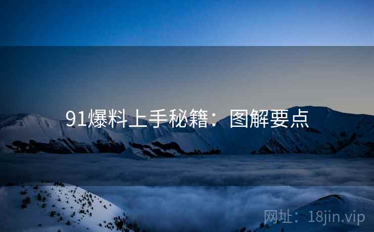 91爆料上手秘籍：图解要点