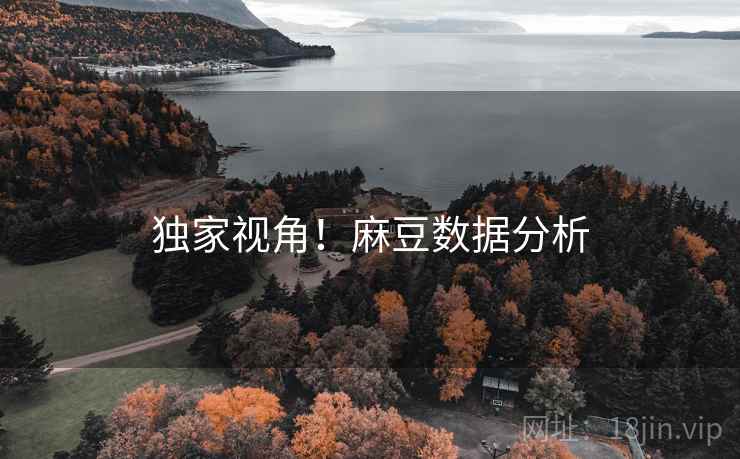 独家视角！麻豆数据分析