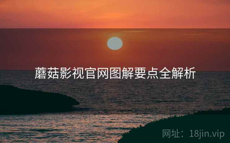 蘑菇影视官网图解要点全解析