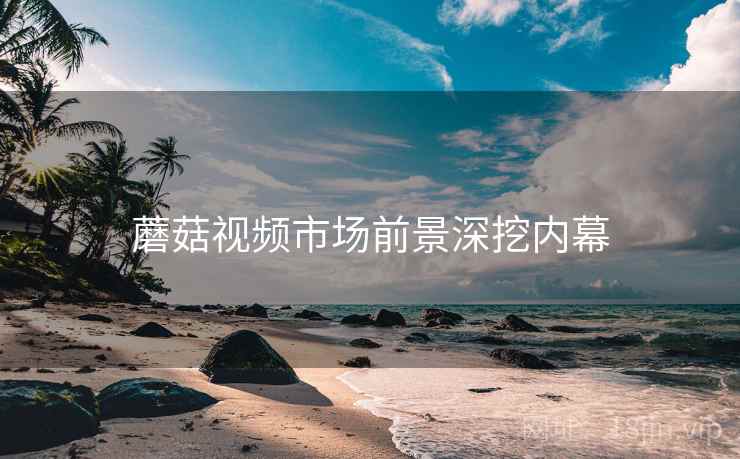 蘑菇视频市场前景深挖内幕