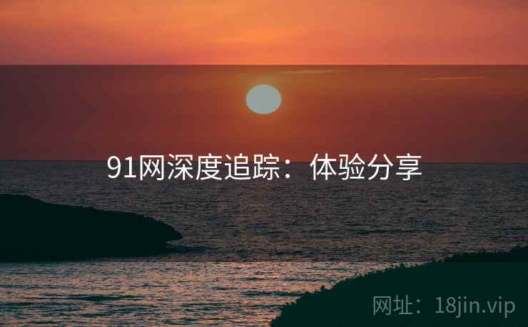 91网深度追踪：体验分享