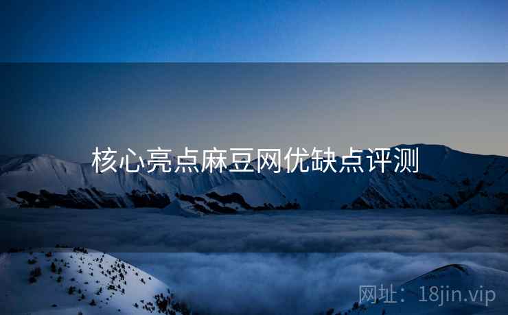核心亮点麻豆网优缺点评测